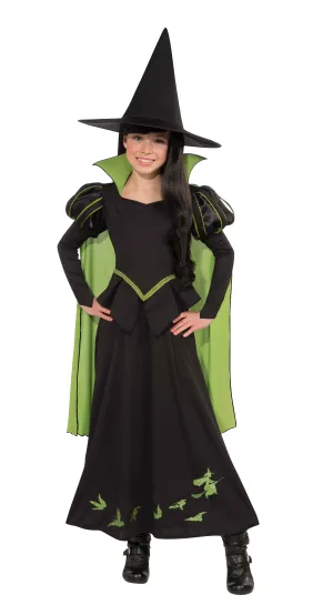 Wizard of Oz Wicked Witch Of The West Deluxe Girl's Costumes (Available in 3 Sizes)
